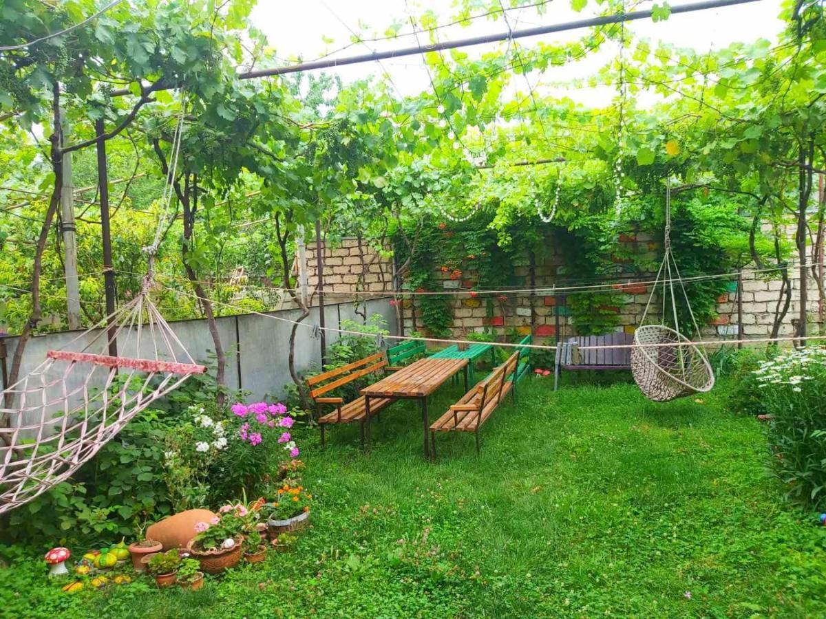 גורי Nitsa Guest House מראה חיצוני תמונה
