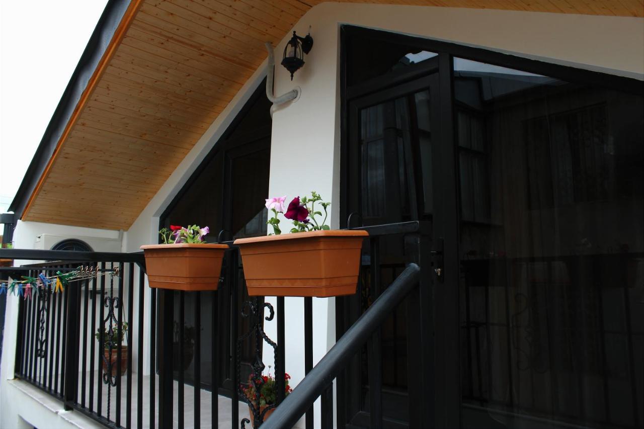 גורי Nitsa Guest House מראה חיצוני תמונה
